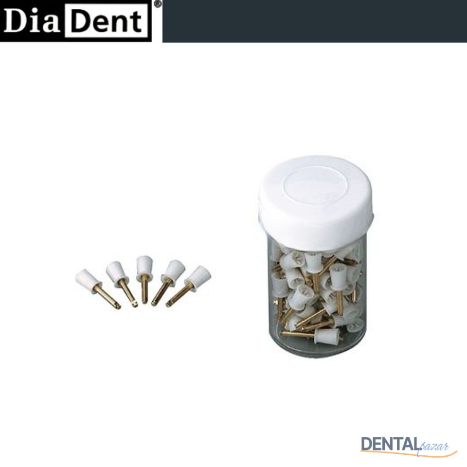 Naylon Detertraj Fırçası