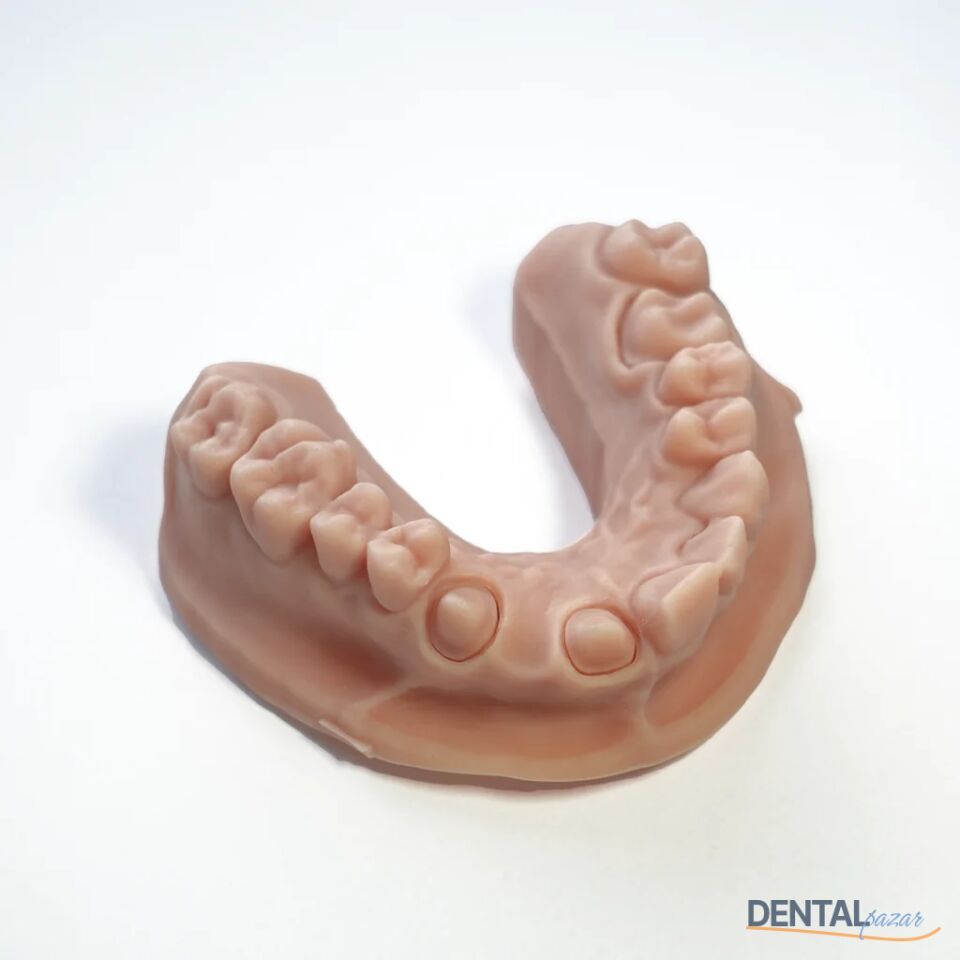 3D Yazıcı Reçine - Dental Model - 1000 gr