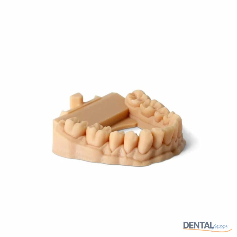 3D Yazıcı Reçine - Suda Yıkanabilir Dental Model Reçinesi 1kg