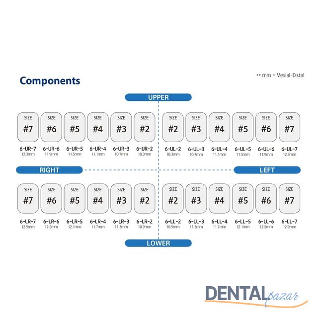 Perma Crown Kalıcı Çelik Kuron İntro Set 24 Kron - Molar