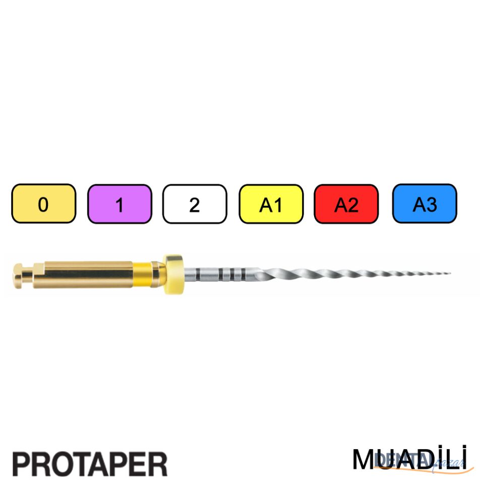 G6 Kanal Egesi Protaper Muadili Niti