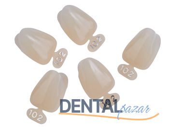 Temprorary Polycarbonate Crown 180 Lik