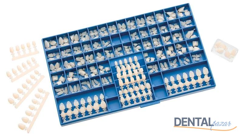 Temprorary Polycarbonate Crown 180 Lik
