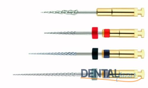 R-Endo Rotary Kanal Eğesi Asorti
