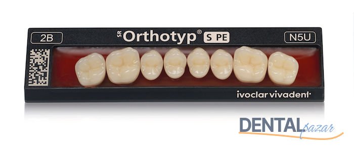 SR Orthotyp S PE Posterior Protez Dişler
