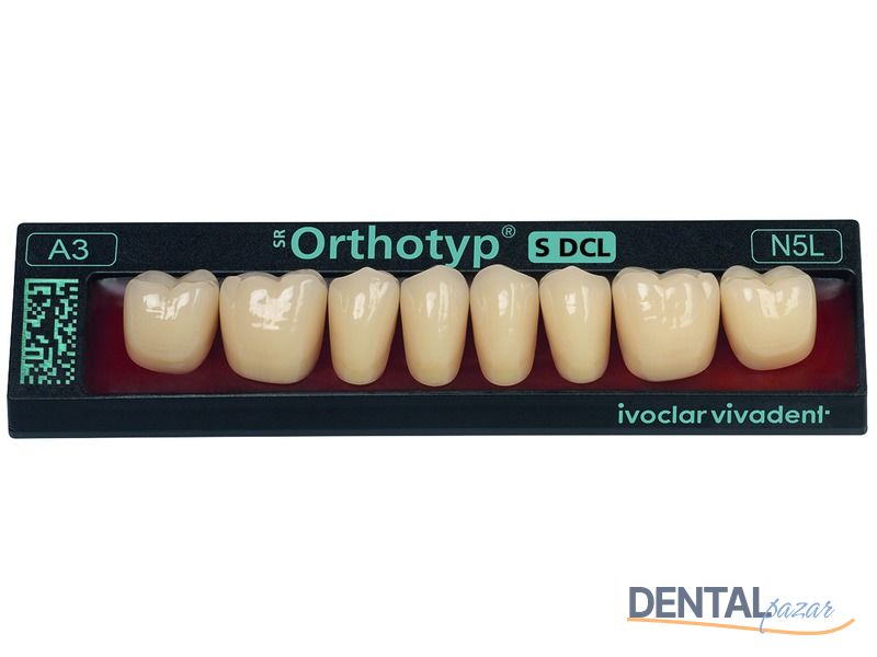 SR Orthotyp S DCL Posterior Protez Dişler