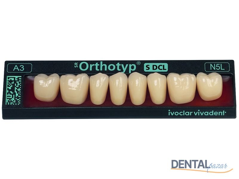 SR Orthotyp S DCL Posterior Protez Dişler