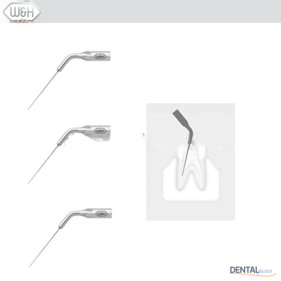 Kavitron-Scaler Uçları- Endo Uç Set