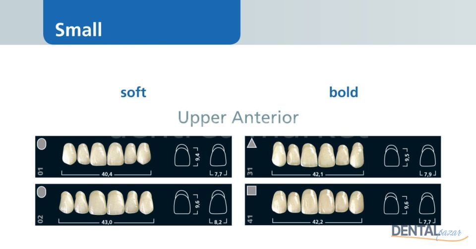 İvostar Üst Anterior 6'lık Diş