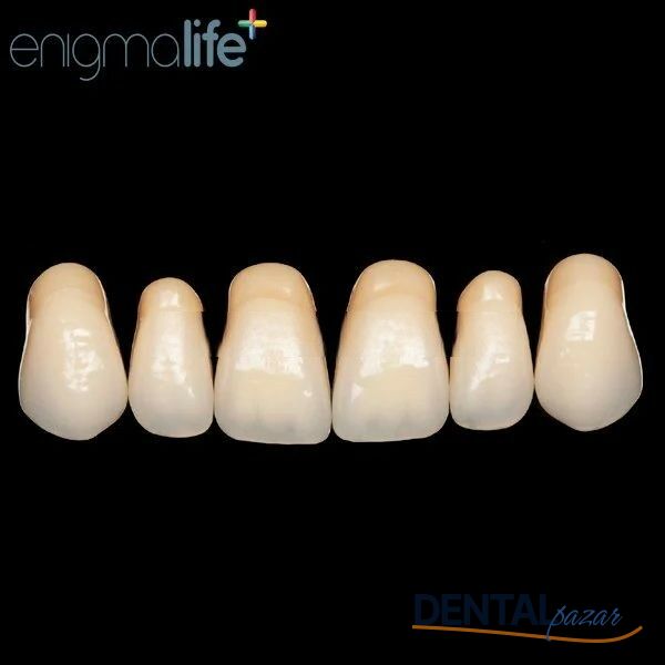 Enigmalife+Üst Anterior 6'lık Diş