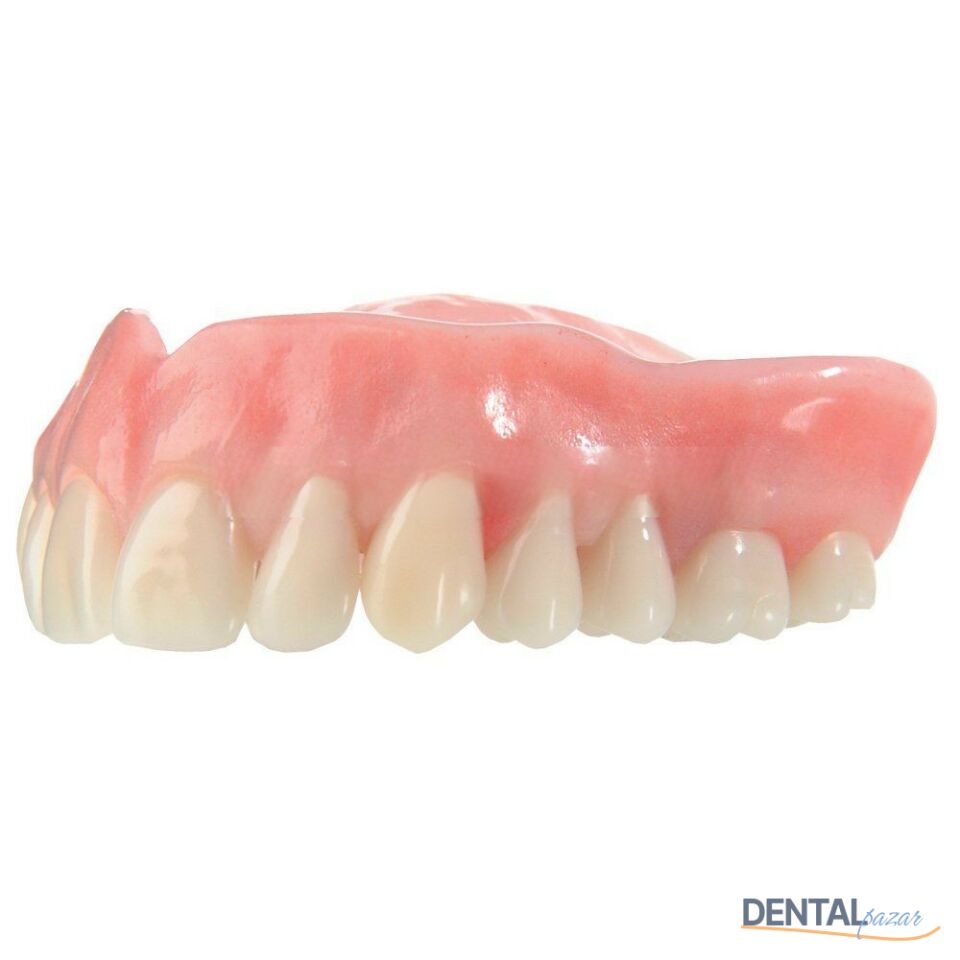 Enigmalife+Üst Anterior 6'lık Diş