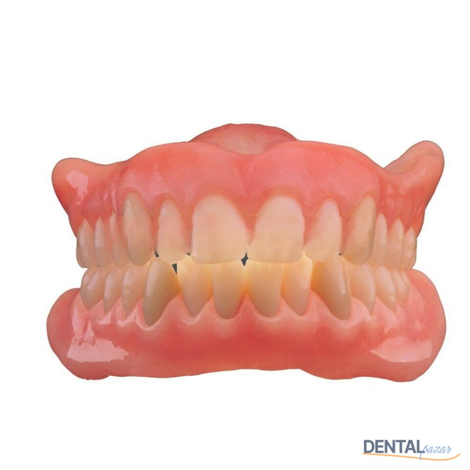 Enigmalife+Üst Anterior 6'lık Diş