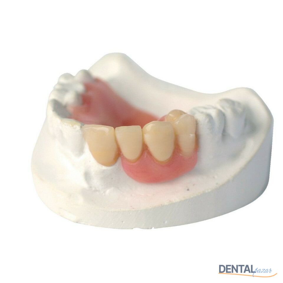 Enigmalife+Üst Anterior 6'lık Diş