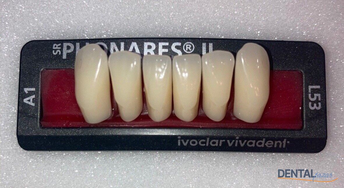 Sr Phonares II Alt Anterior 6'lık Diş