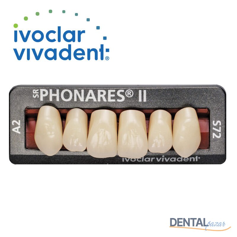 Sr Phonares II Üst Anterior 6'lık Diş