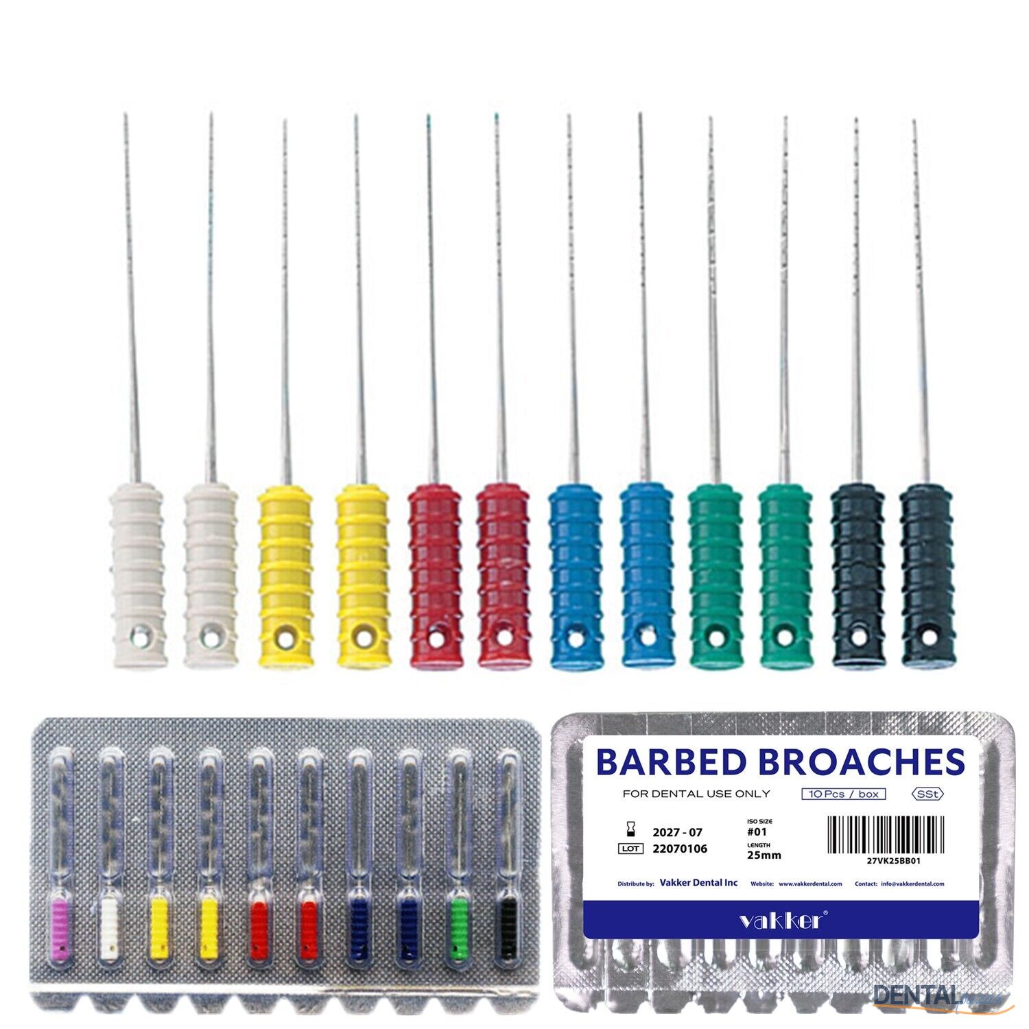 Barbed Broaches Tire Nervs