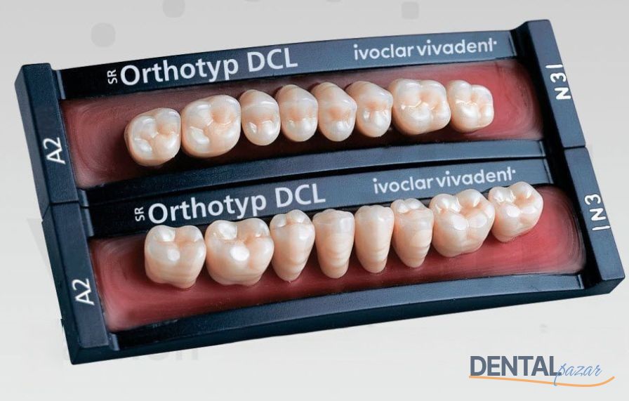 Sr Vivodent DCL Sr Orthotpy DCL 28 LikTakım Diş