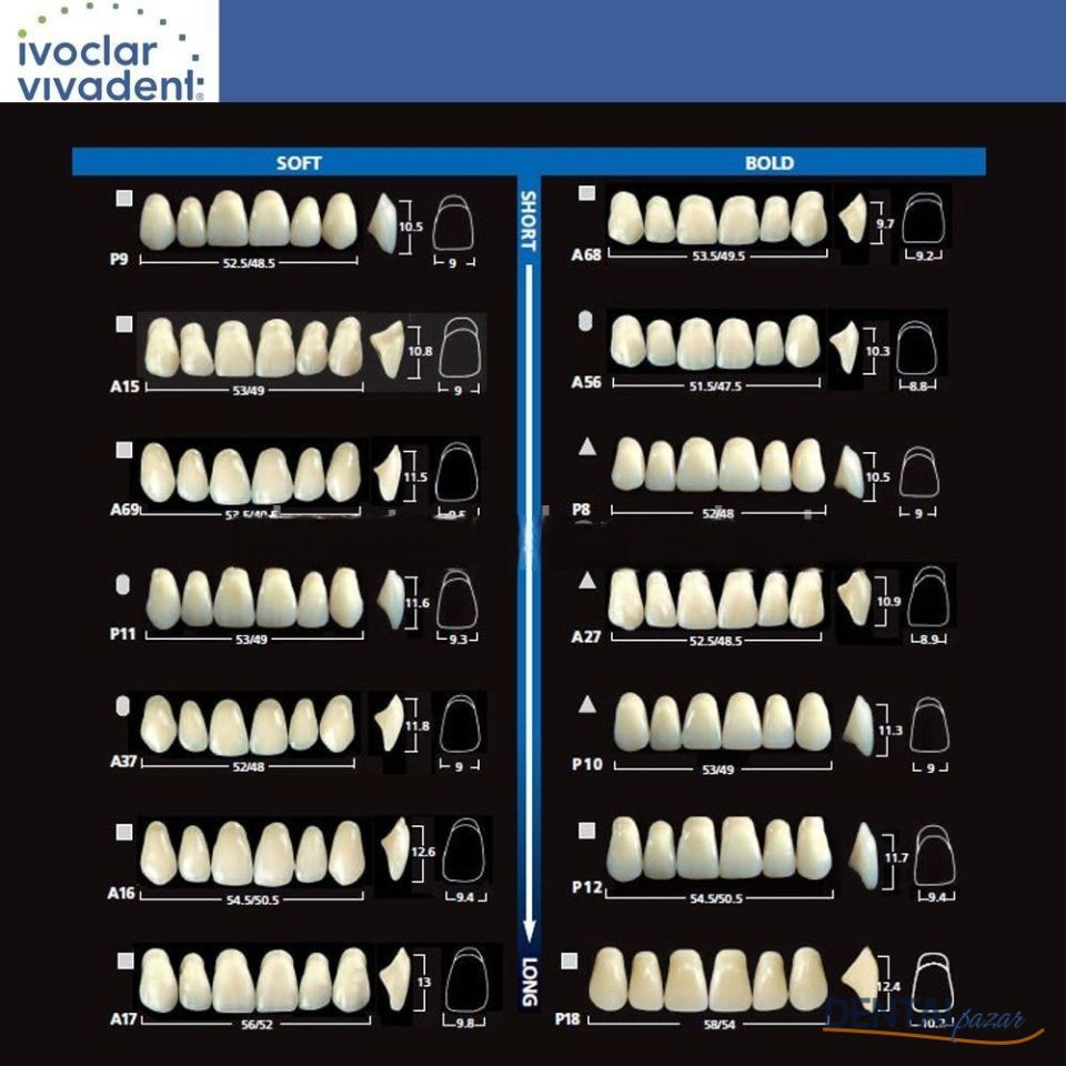 Sr Vivodent DCL Sr Orthotpy DCL 28 LikTakım Diş