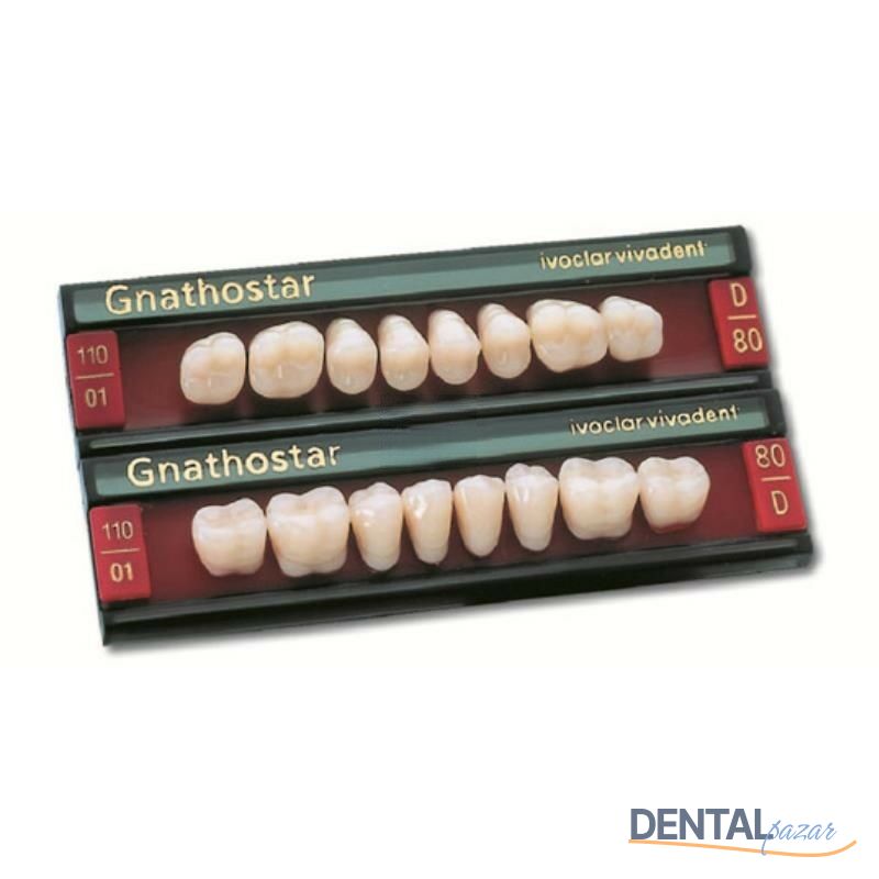 Gnathostar Posterior 8'lik Diş