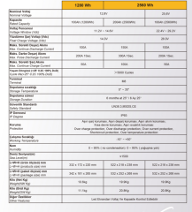 E-Sun 1.6KW Inverter + 12.8V 200Ah Lityum Akü Off-Grid Hibrit Paketi