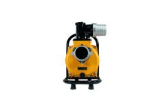 DC Yüzey Pompa 2Hp 1500W (SFP29-13-1500W/110V)