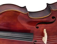 Valler CLS470 Parlak Cilalı Ladin - Akçaağaç 4/4 Profesyonel Çello