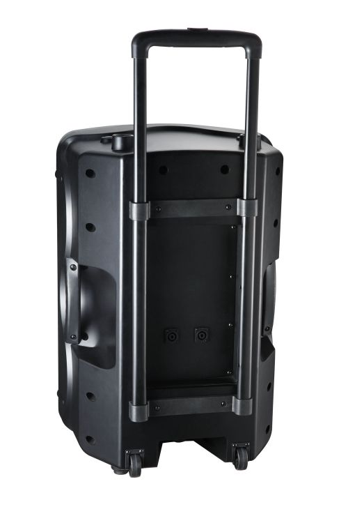 LEOPART LE-3412/P - 12 inç 2 Yollu 300W Pasif Hoparlör