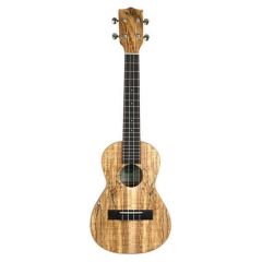 Kala Spalted Akçaağaç Concert Ukulele