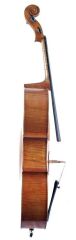 VANETTA WN-19 3/4 Mat Cila Çello