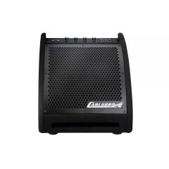 Carlsbro EDA30 B Bluetooth 10'' Davul Monitör Amfi (30W)