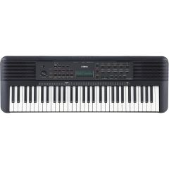 PSR-E273