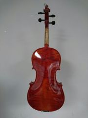 15.5'' VİOLA KUTULU