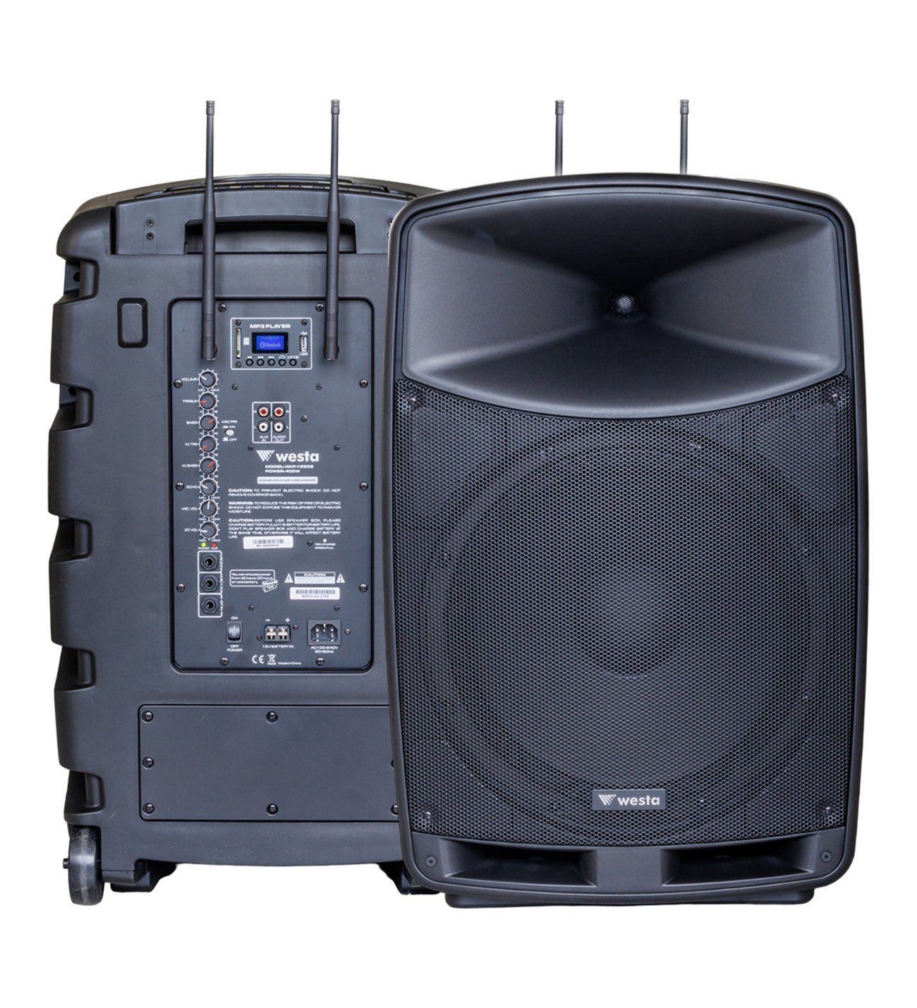 WESTA WAP-12505 300 WATT 2 EL TELSİZ MİKROFONLU ŞARJLI BLUETOOTH AKTİF KABİN