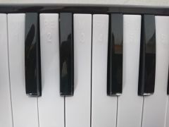 MELODİKA 32 TUŞLU SİYAH RENK EVA ÇANTALI