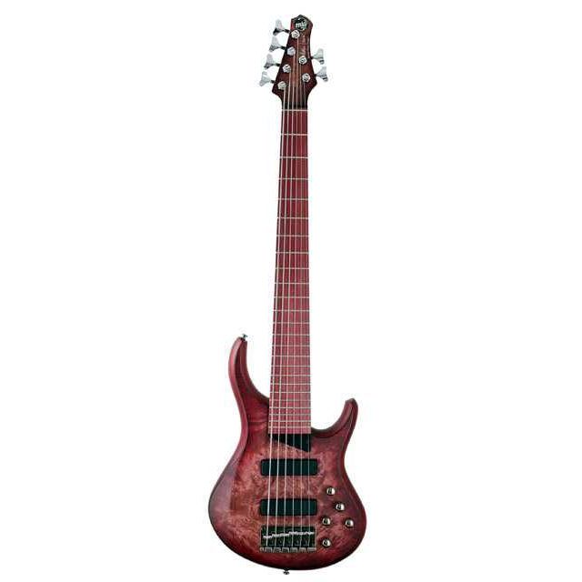 MTD Kingston KAG6 Bas Gitar (Andrew Gouché)
