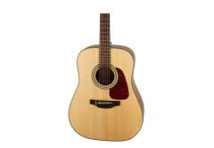 Takamine GD10-NS Akustik Gitar