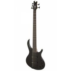 Epiphone Toby Deluxe V Bas Gitar (Ebony)