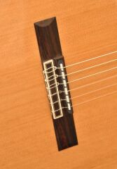 ELEKTRO KLASİK GİTAR SEDİR KAPAK FISHMAN PRO BLEND