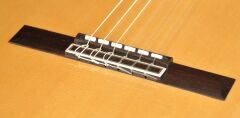 ELEKTRO KLASİK GİTAR LADİN KAPAK FISHMAN PRO BLEND