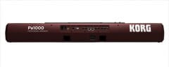 Korg Pa1000