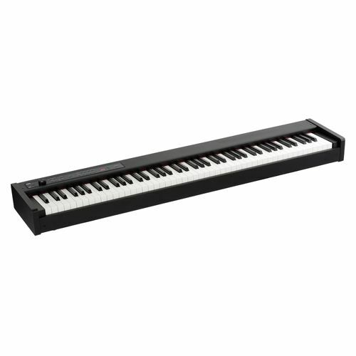 KORG D1