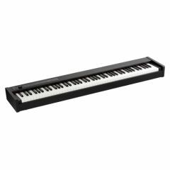 KORG D1