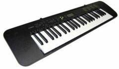Casio CTK-245H2 Org