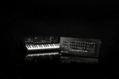 Minilogue XD Module
