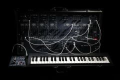 ARP 2600 FS