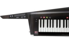 RK-100S 2-BK