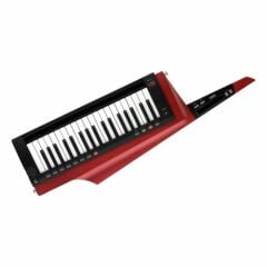 RK-100S 2-RD