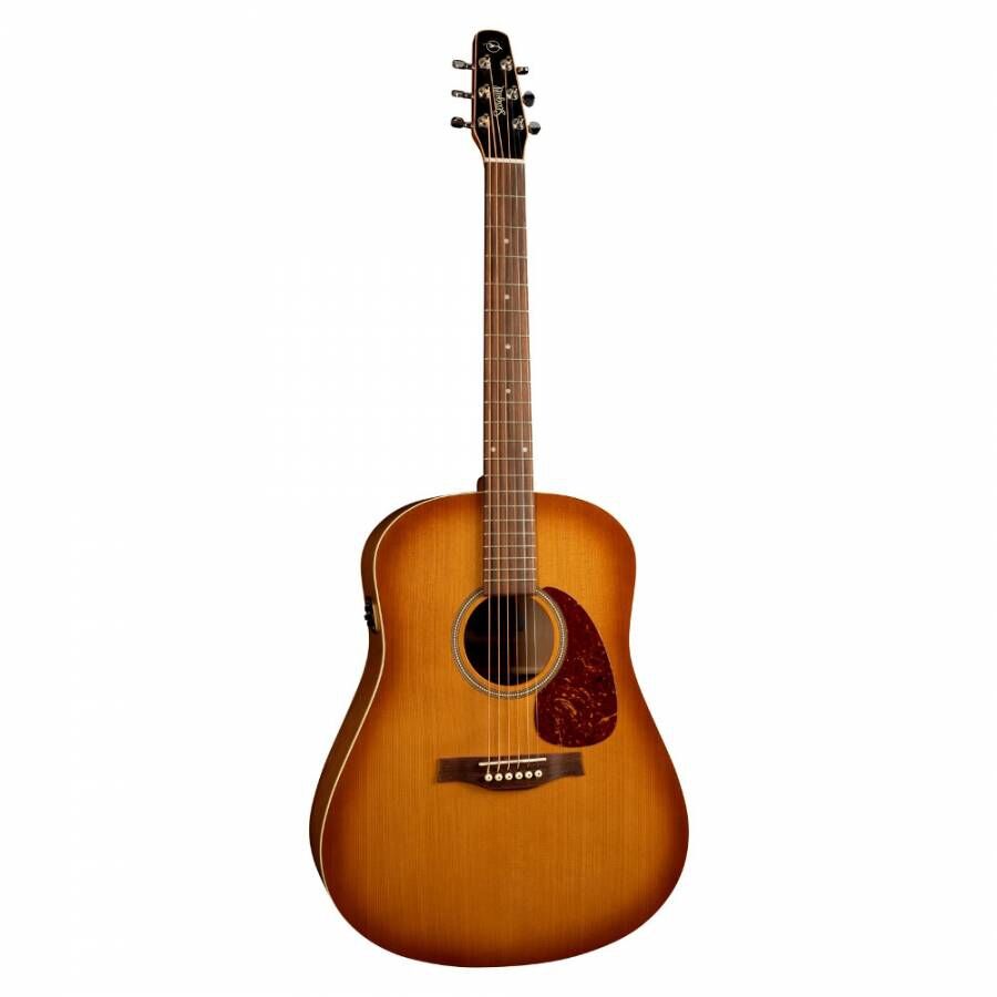 Seagull Enturage Rustic QIT Akustik Gitar (Natural)