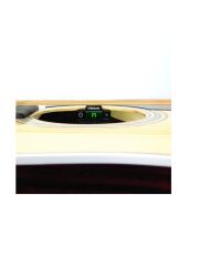 NS SOUNDHOLE TUNER