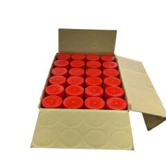 24'LÜ BRAXIS BALATA TEMİZLEYİCİ 500ML 50279 (1 KOLİ)